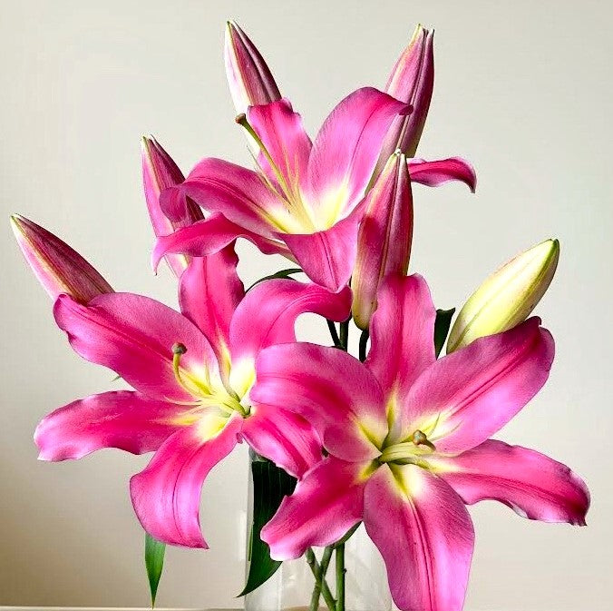 Single variety flowers