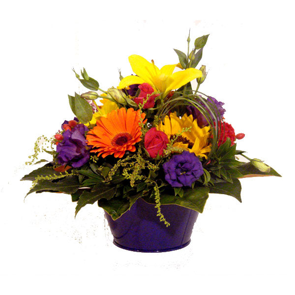 Frightfully Bright Arrangement